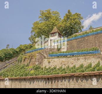Rebhuesli am Schlossberg, Rapperswil-Jona Switzerland, Canton of New Gallen Banque D'Images