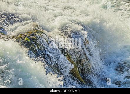 Chutes du Rhin à Neuhausen près de Schaffhausen, en Suisse Banque D'Images