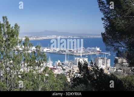 PALMA DE MAJORQUE, ESPAGNE - 18 MARS 2017 : vue sur Palma avec le ferry Trasmediterranea par une journée ensoleillée le 18 mars 2017 à Palma, Majorque, Espagne Banque D'Images