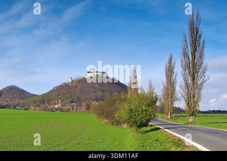 Le château de Bezdez est une impressionnante forteresse médiévale perchée en Bohême, en République tchèque Banque D'Images