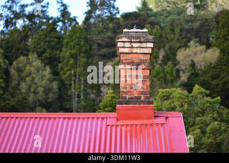 Cheminée traditionnelle en brique sur la maison avec toit en métal ondulé rouge avec des arbres en arrière-plan. Lieu : Auckland Nouvelle-Zélande Banque D'Images