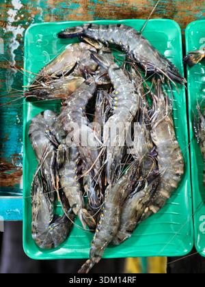 Plan à angle élevé de crevettes tigrées fraîches et non cuites avec des rayures caractéristiques. Les fruits de mer sont exposés sur un plateau vert vif dans un marché humide, showcasi Banque D'Images