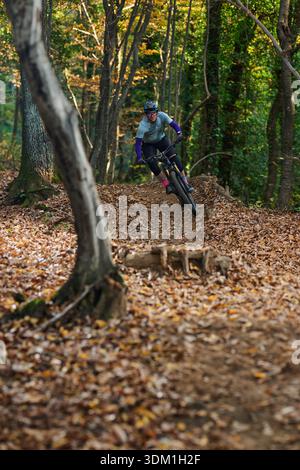 Mountain Biker navigue sur le sentier d'automne verdoyant dans la forêt avec Focus and Adventure Banque D'Images