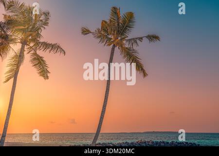 Deux palmiers à cocotiers se détachant sur le ciel doré chaud du coucher de soleil au bord de la mer tropicale. Lueur crépusculaire rêveuse. Vacances d'été, voyage, lune de miel, romance, paradis Banque D'Images