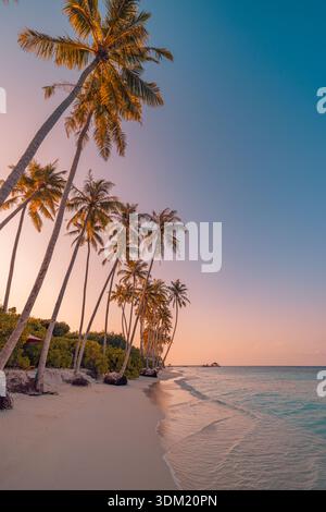 Grands palmiers sur une plage tropicale au coucher de soleil doux avec une mer turquoise calme. Lueur vespérale rêveuse. Vacances d'été voyage lune de miel paradis bien-être Banque D'Images