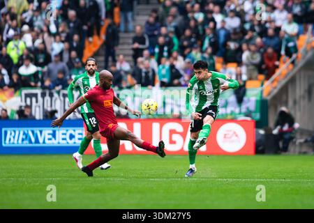 Sevilla, Espagne. 1er février 2026. SÉVILLE, ESPAGNE - 1er FÉVRIER : Marc Roca du Real Betis passe le ballon lors du match LaLiga EA Sports entre Real Betis Balompie et Valencia CF à l'Estadio de la Cartuja le 1er février 2026 à Séville, Espagne. (Photo de Gabriel Colchero/photo Players images/Magara Press) crédit : Magara Press SL/Alamy Live News Banque D'Images