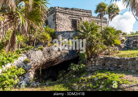 Temples et bâtiments à Tulum, Mexique, entourés par les palmiers, les arbres et la mer. Banque D'Images