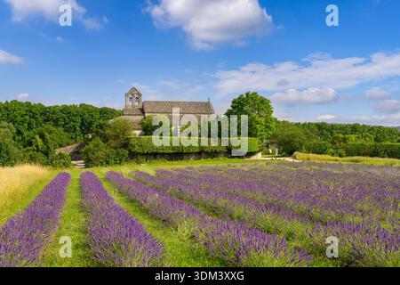 Senanque Abbaye champs de lavande monastère Gordes Provence France nuage danseur couleur tendance nature voyage paysage immersif évasion fond Banque D'Images