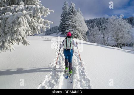 Autriche, Vorarlberg, Bregenzerwald, Hittisau, Skitour à Koppachstein Banque D'Images