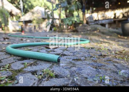Tuyau d'arrosage vert couché sur un sol en pierre dans la cour arrière. moment paisible montrant l'équipement de jardinage, tuyau en caoutchouc pour arroser les plantes sur le sol pavé Banque D'Images