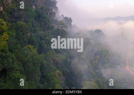 Vue imprenable sur le parc national de Khao Sok Thaïlande, à l'aube, où la brume couvre la forêt vibrante, créant une atmosphère tranquille. Expérience natu Banque D'Images