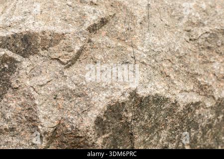 La scène montre une vue rapprochée d'un rocher avec une surface rugueuse. La lumière tombe sur le rocher, mettant en évidence les rainures et les textures. La scène se déroule dans un natu Banque D'Images