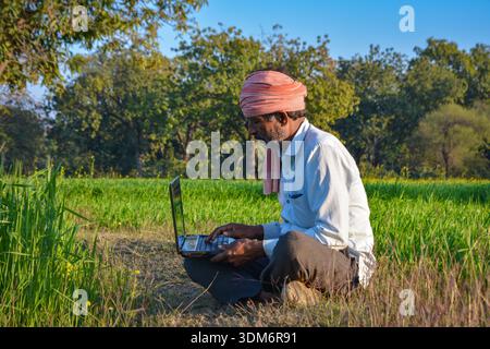 Homme rural indien utilisant un ordinateur portable au champ d'agriculture. Technologie moderne en agriculture Banque D'Images