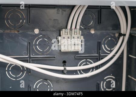 Gros plan sur les câbles électriques branchés dans la boîte de distribution Banque D'Images