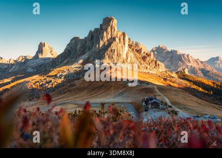 Lever de soleil pittoresque sur Passo Giau avec paysage de montagne d'automne, fleurs sauvages rouges et chalet en bois sous le ciel bleu dans les Dolomites, Italie Banque D'Images