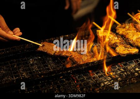 Gros plan sur des brochettes de viande japonaises traditionnelles cuites sur un grillage avec des flammes orange intenses levant. Banque D'Images