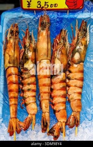 Une rangée de grosses crevettes tigrées non cuites sur des brochettes en bois exposées sur de la glace pilée avec une étiquette de prix. Banque D'Images