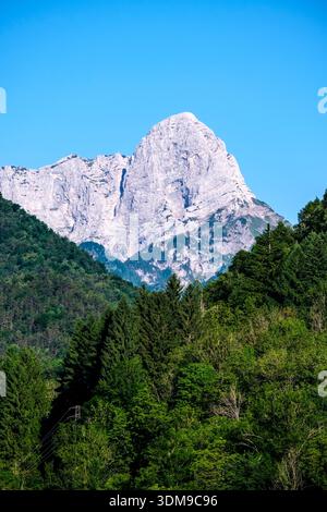 Vue sur le sommet rocheux de Cadin dagli Elmi s'élevant au-dessus de forêts vertes denses sous un ciel bleu clair au loin. Banque D'Images