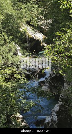 Petite cascade entourée d'arbres verts et de rochers, un cadre naturel calme, vallée de Soca, Slovénie Banque D'Images