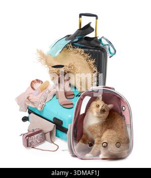Valises avec des vêtements, des trucs de plage et chat dans le sac à dos transporteur sur fond blanc. Vacances avec animal de compagnie Banque D'Images