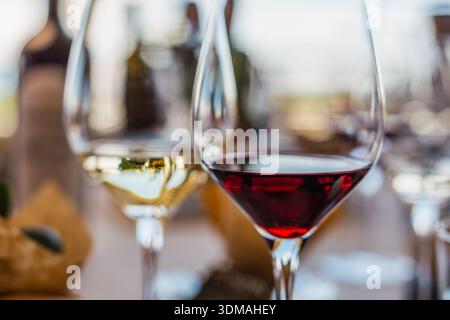 Un gros plan détaillé de deux élégants verres à vin, l'un rempli de vin rouge riche et l'autre de vin blanc croustillant, suggérant une veille de dégustation de vin Banque D'Images
