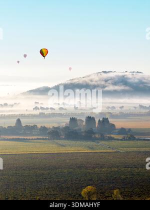 Le brouillard dérive au-dessus des vignobles avec des montgolfières au lever du soleil dans la Rutherford AVA de Napa Valley, Californie, États-Unis. Banque D'Images