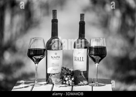 Dégustation de vin en plein air, bouteilles de vin et verres mis en scène sur une table dans un vignoble de Napa Valley AVA, comté de Napa, Californie, États-Unis, en automne. Banque D'Images