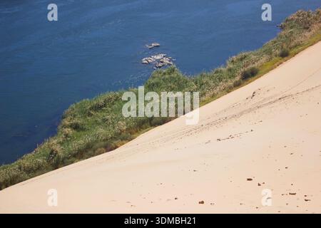 Pente de dunes de sable au-dessus du Nil avec des roseaux verdoyants Banque D'Images