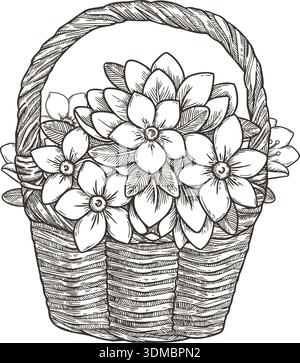 Fleurs de jasmin blanc dans un panier tissé avec un bouquet floral. Illustration d'esquisse vectorielle vintage élégante avec texture de contour. Parfait pour l'invitation de mariage de carte de voeux et la conception de Pâques de printemps. Illustration de Vecteur