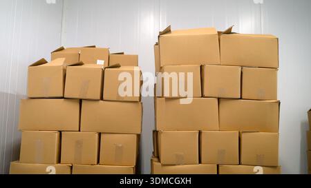 Un ensemble de boîtes en carton dans un réfrigérateur industriel. Boîtes en carton avec poisson congelé. Grandes boîtes en carton en stock avant expédition. Banque D'Images