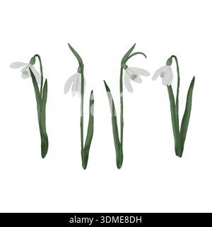 Ensemble de fleurs en forme de goutte de neige peintes à la main représentant de délicates fleurs du début du printemps dans des tons doux et naturels. Collection clipart botanique avec doux Banque D'Images