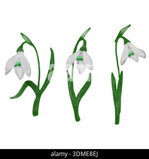 Ensemble de fleurs en forme de goutte de neige peintes à la main représentant de délicates fleurs du début du printemps dans des tons doux et naturels. Collection clipart botanique avec doux Banque D'Images