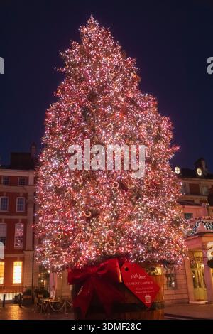Angleterre, Londres, Covent Garden, Arbre De Noël Covent Garden Illuminé La Nuit Banque D'Images