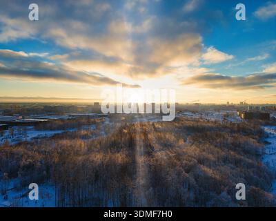 Coucher de soleil d'hiver doré sur la forêt de Tallinn et le paysage urbain Banque D'Images
