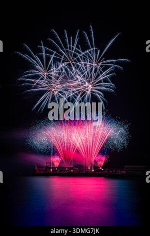 Un feu d'artifice vibrant illumine le ciel nocturne au-dessus d'un plan d'eau, avec des éclats roses et bleus se reflétant magnifiquement sur la surface. Banque D'Images