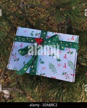 Boîte cadeau enveloppée dans du papier de vacances accroché sur une branche de pin dans un cadre de forêt pendant la journée Banque D'Images