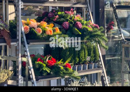 Gros plan d'une boutique de fleurs en plein air présentant des compositions florales colorées variées, notamment des roses fraîches, des couronnes à feuilles persistantes et de petits fleurs en pot Banque D'Images