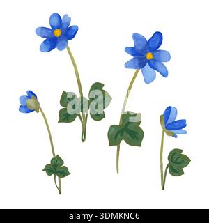 Ensemble de fleurs de crocus safran peintes à l'aquarelle avec délicates fleurs printanières de Crocus sativus dans des tons naturels doux. Clipart botanique Banque D'Images