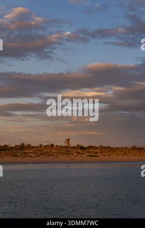 Une vue matinale paisible sur une plage de sable avec des palmiers sous un ciel crépusculaire bleu et orange doux avec une pleine lune visible à travers les nuages Banque D'Images
