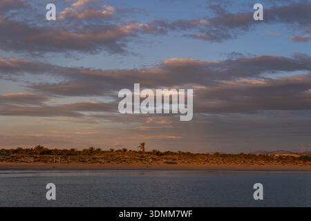 Une vue matinale paisible sur une plage de sable avec des palmiers sous un ciel crépusculaire bleu et orange doux avec une pleine lune visible à travers les nuages Banque D'Images