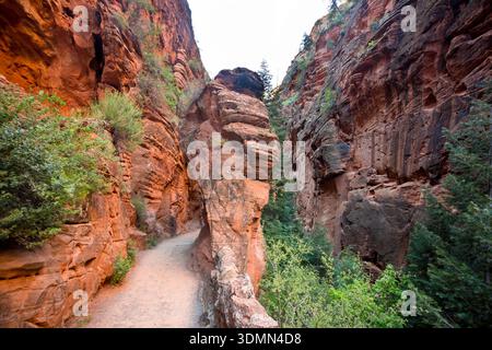 De hautes falaises de grès le long du West Rim Trail jusqu'à Angels Landing dans le parc national de Zion, Utah Banque D'Images