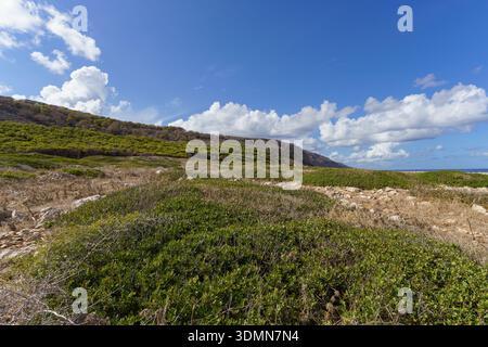 Une vue d'ensemble panoramique de la côte accidentée de Punta Minnola, mettant en valeur le vaste terrain aride, les collines spectaculaires et la Méditerranée d'un bleu profond Banque D'Images