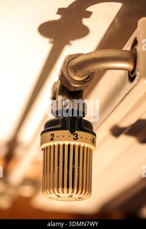 01 décembre 2025, Berlin : un thermostat de radiateur réglé sur le niveau moyen peut être vu en gros plan. Le contrôleur commande la température d'un radiateur et influence ainsi la consommation d'énergie d'un ménage. Photo : Fernando Gutierrez-Juarez/dpa Banque D'Images