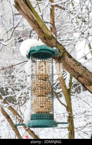 Mangeoire d'oiseaux dans la forêt d'hiver. Nourrir les oiseaux en hiver. Banque D'Images