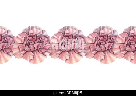 Bordure horizontale sans couture, cadre, bourgeons de fleurs d'oeillet. Illustration botanique à l'aquarelle peinte à la main isolée sur blanc pour les affiches, en-tête Banque D'Images