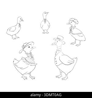 Un ensemble d'oies de ligne noire dessinées à la main. Graphique. Banque D'Images