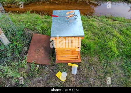 Une ruche en bois avec deux supers profonds se trouve dans une cour herbeuse près d'un petit ruisseau. Les chargeurs jaunes sont placés sur le sol à l'avant. Banque D'Images