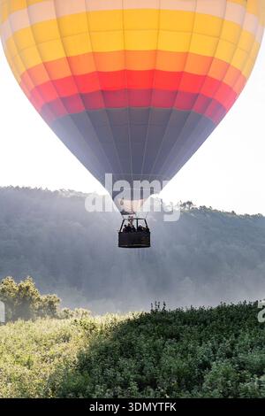 Une montgolfière flotte gracieusement au-dessus d'une végétation luxuriante. Banque D'Images
