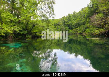 Limpide, plantes aquatiques vertes pleines, les eaux de Sveti Naum (Saint Naum) jaillissent sur la rivière Black Drim près du lac Ohrid, Macédoine du Nord Banque D'Images
