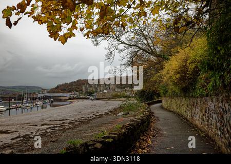 Le Wales Coastal Path serpente autour de la rive vers un château et une ville fortifiée dans un cadre boisé, Conway, au nord du pays de Galles. Banque D'Images